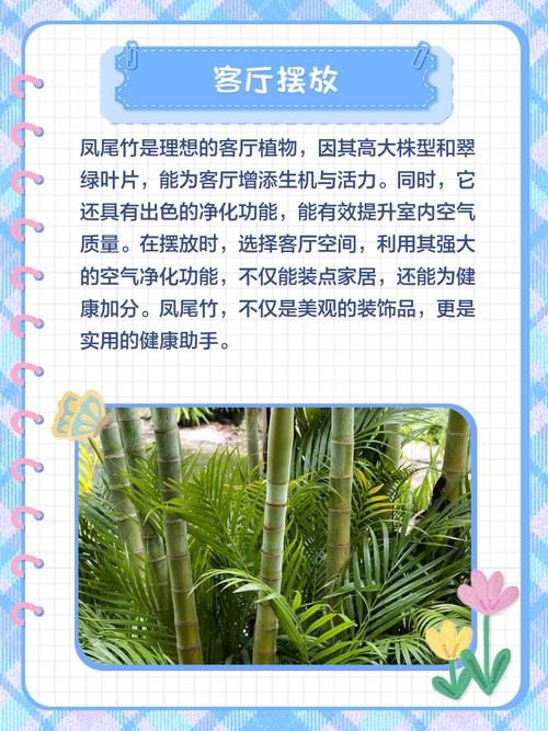 凤尾竹摆客厅风水有讲究吗？
