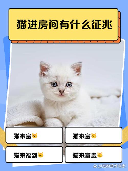 梦见大黄猫进家有什么特殊预兆吗？