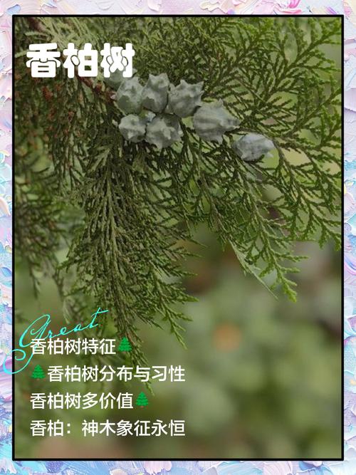 有哪些树木名字带有香，让人一见就心生喜爱？