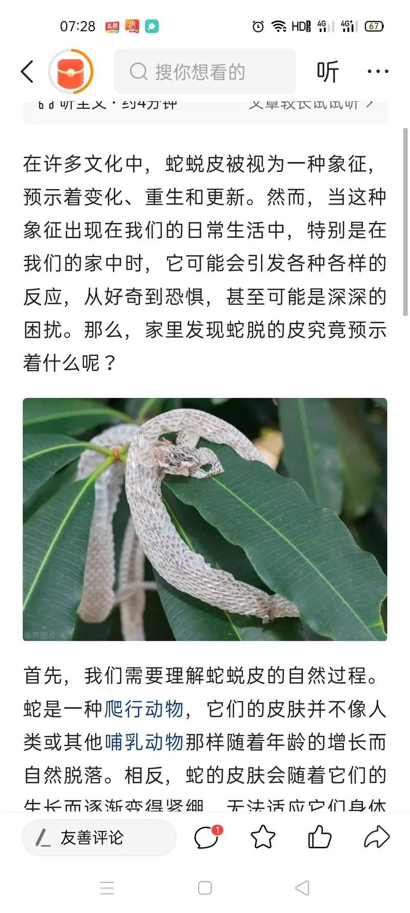 梦见打死蛇剥皮是什么预兆，周公解梦中的杀蛇剥皮有何特殊含义？