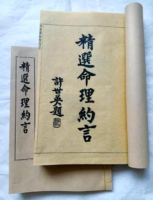 袁树珊八字自评中，风水命理光道老师的观点，有哪些具体的长处和不足之处？