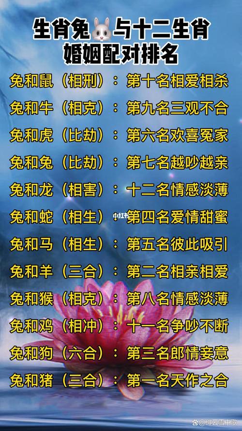 属兔的人与哪个生肖最匹配，成为最佳夫妻伴侣？