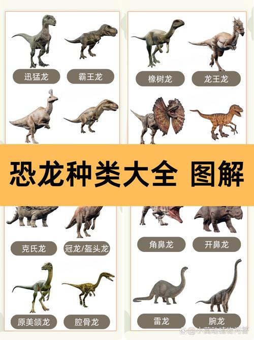 恐龙的种类名有哪些，你能一一列举吗？