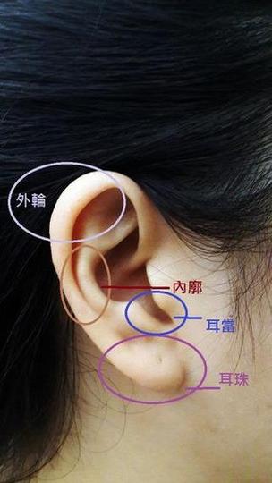 女人面相没有耳垂代表什么？面相看女人无耳垂有何含义？