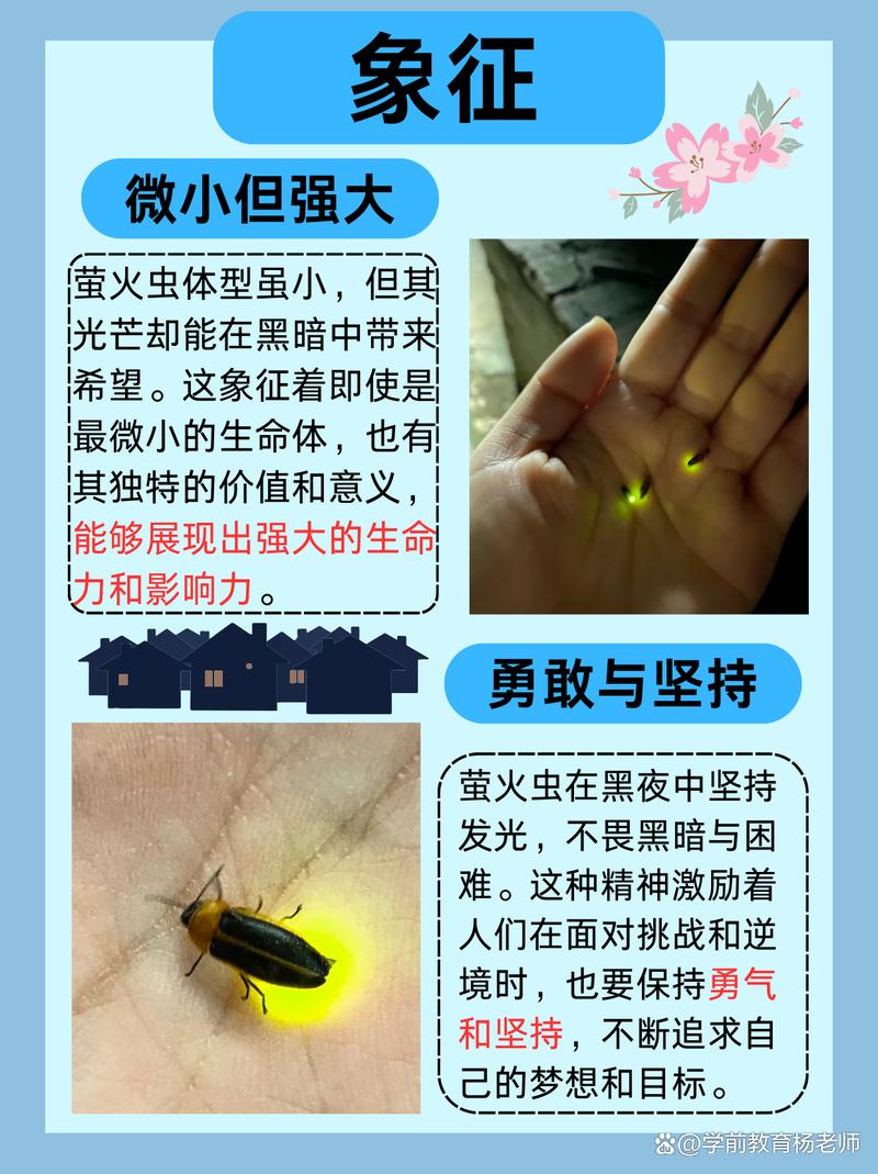 萤火虫夜间飞入家中预示着怎样的吉凶征兆？