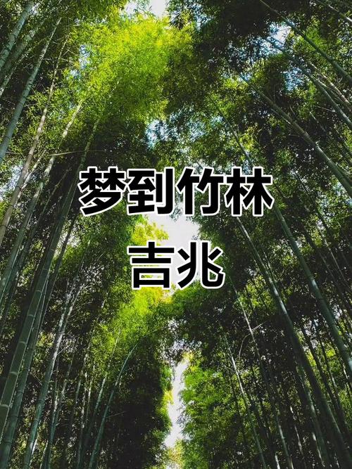 女人梦见竹林预示着什么吉凶？