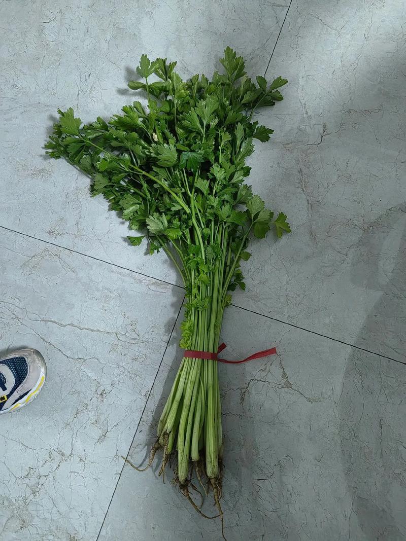梦见一大把芹菜是什么吉凶预兆？