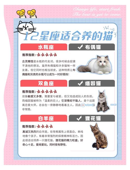 金牛座最偏爱哪种宠物，能成为其幸运宠物呢？