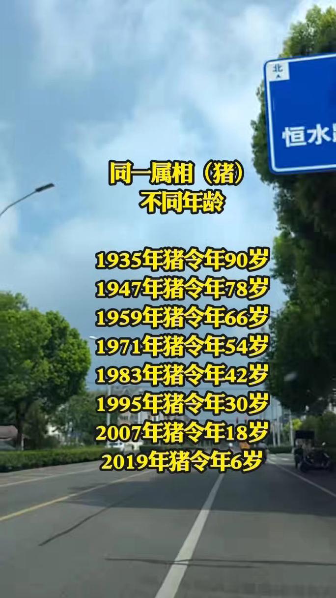 2022年属猪的人今年多少岁？2022年运势如何？