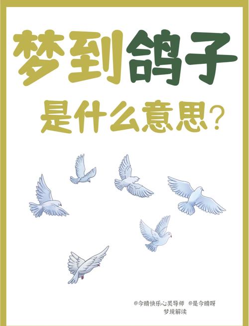 梦见自己变成别人的鸽子，这究竟是什么预兆或含义呢？