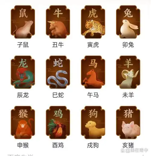 十二生肖中，左手肖都有哪些生肖？