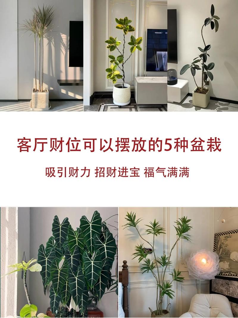 客厅摆放旺财风水摆件的蕞佳位置是哪里？