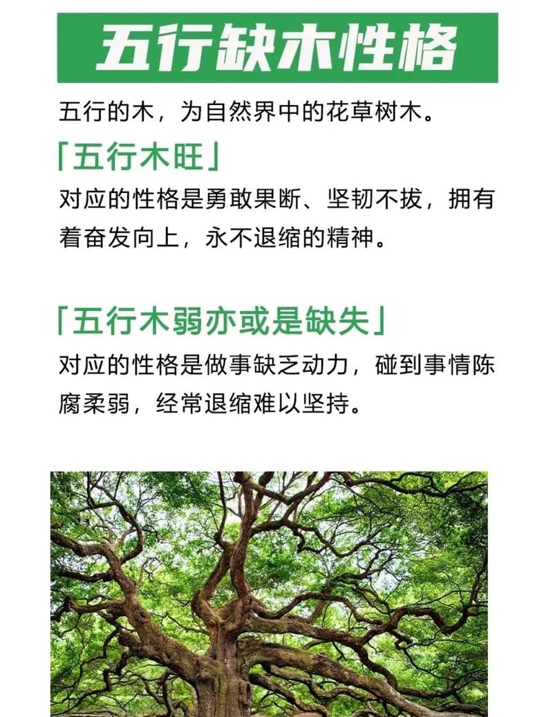 五行属木的人命中缺少哪种五行属性？