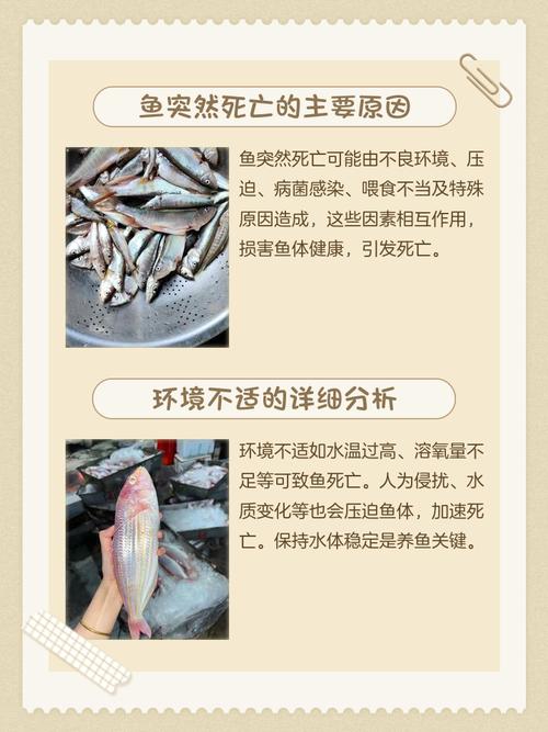 梦见鱼缸里好多鱼但有的鱼死了这是不是预示着什么不幸的事情即将发生呢？