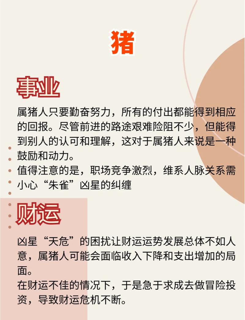 属猪人的婚姻和命运有什么特点或影响？