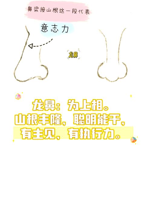 面相中山根高耸和鼻梁挺直分别代表什么含义？