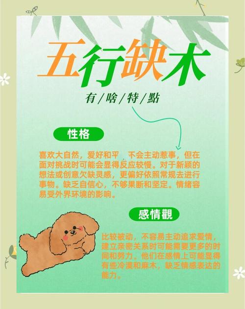 五行缺木一定要补木吗？如何找到最适合自己的补木方法？