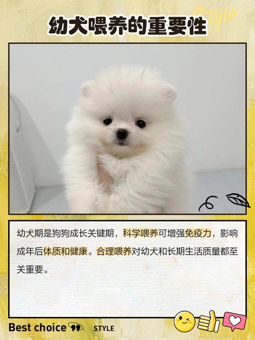 生个狗年宝宝对小孩成长有特别好处吗？