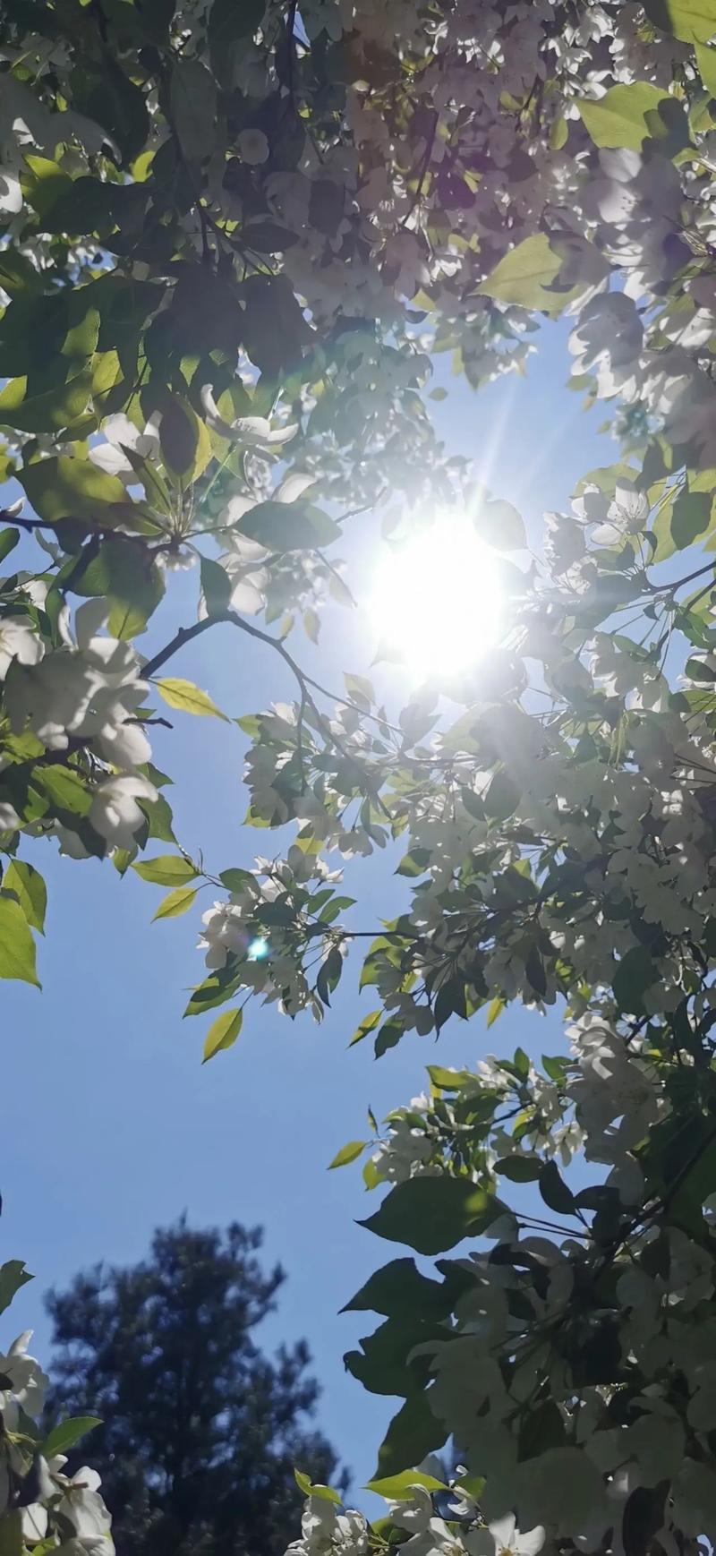 三岁前丑时送童子命最佳，具体时间点应该怎么选择呢？