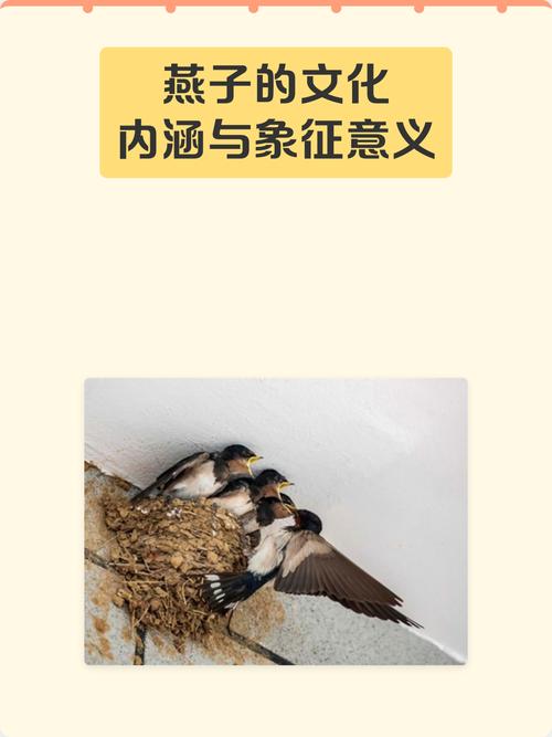 燕子寓意和象征意义具体是什么？