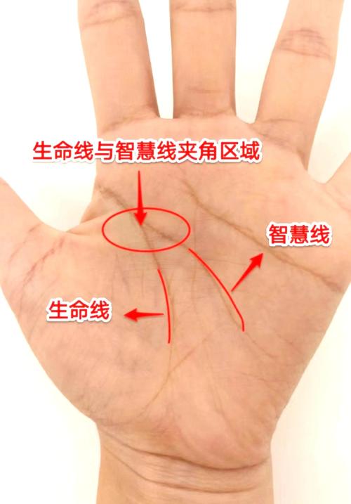 命运线和生命线相连的人运势如何变化？