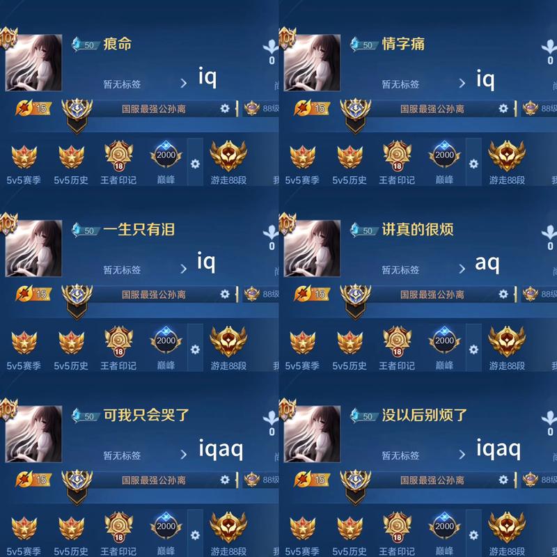 王者荣耀昵称前的蓝色数字代表什么？是玩家等级还是其他信息？