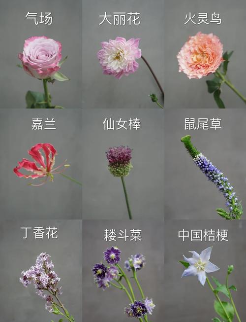 有哪些好听又独特的植物名字推荐？