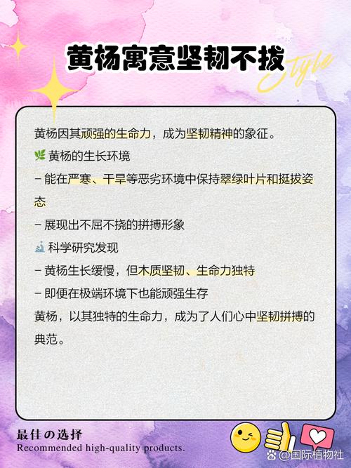 黄杨树的寓意和象征分别是什么？它们有哪些深层含义和象征意义？