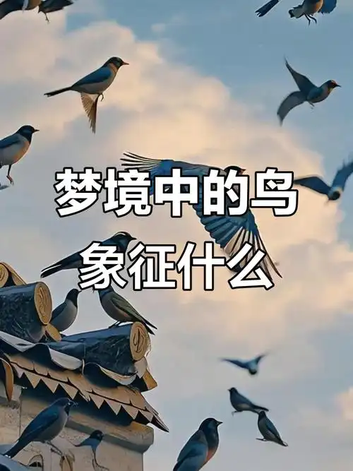 梦见孕妇小鸟预示着什么？周公解梦中的寓意是什么？