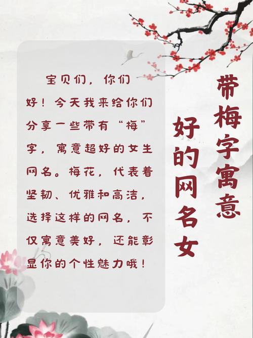 梅字取名有什么忒别的寓意或象征意义？