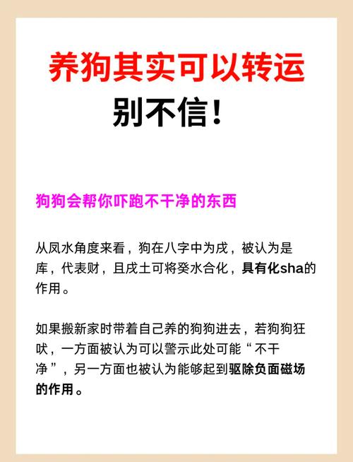 养狗对家庭风水有益吗？白狗和黑狗哪个更具有辟邪作用？