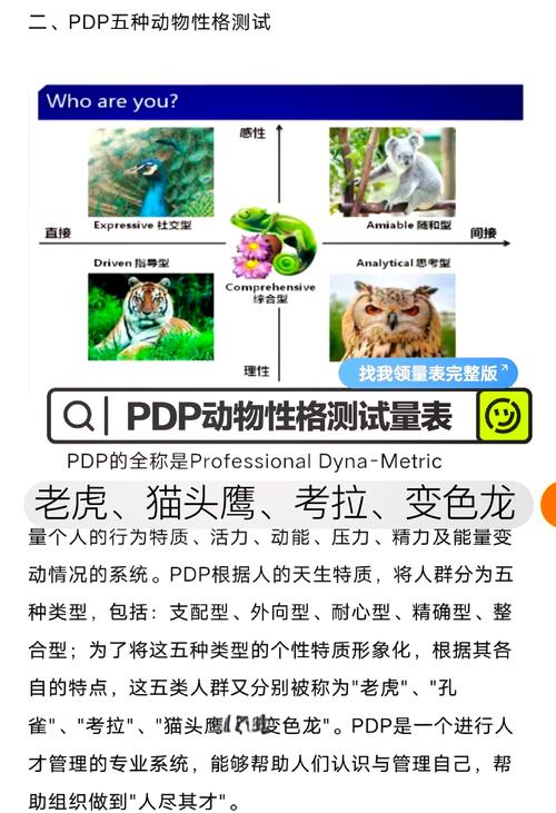 如何通过分析客户的四种动物性格来深入了解其人格特质？