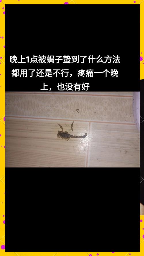 梦见蝎子爬身上却不咬我，这究竟是什么预兆？