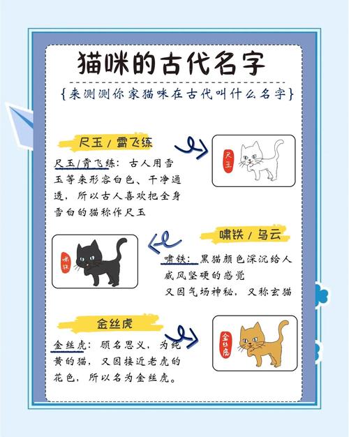 有哪些洋气好听又上口的猫咪名字推荐呢？