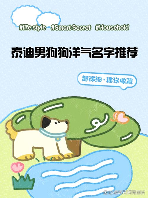 有没有推荐一些好听又洋气的男泰迪狗名字大全？