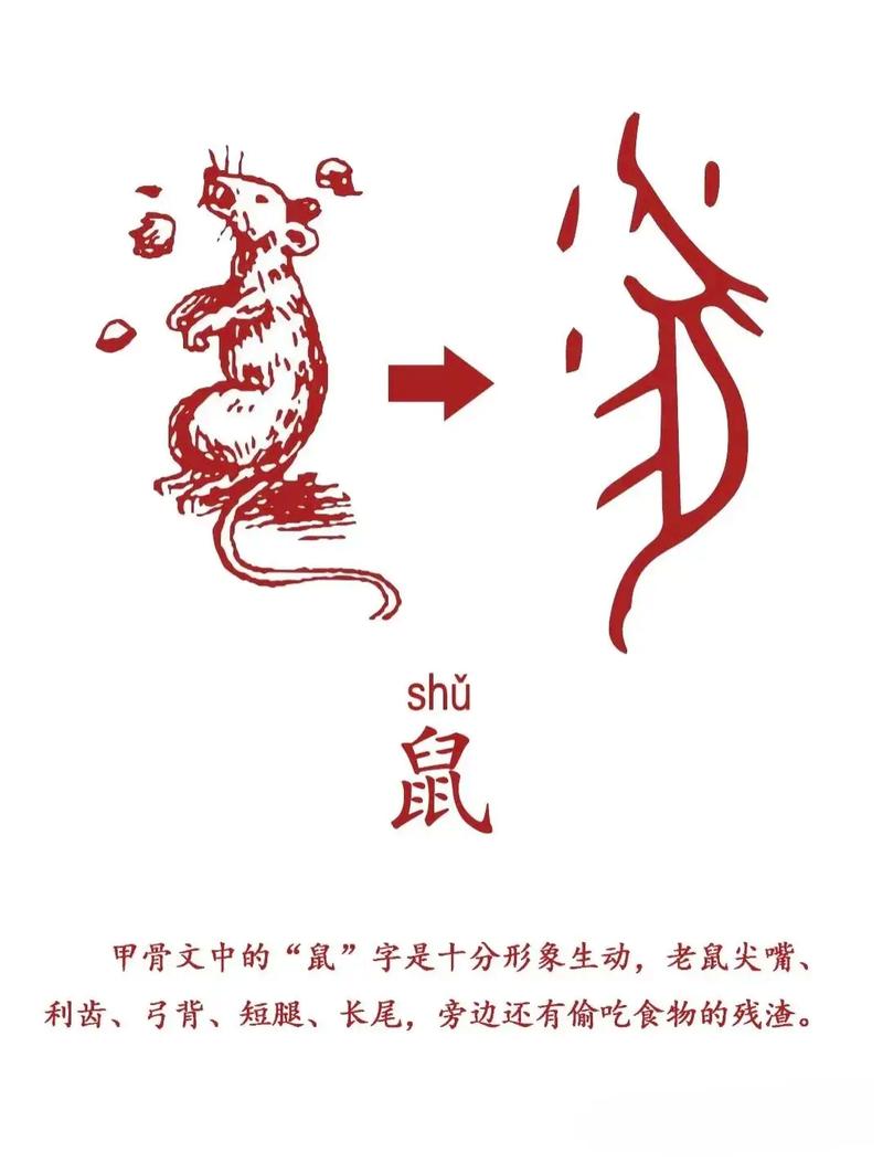 十二生肖蕞早出现在哪个朝代，其历史渊源究竟始于何时？