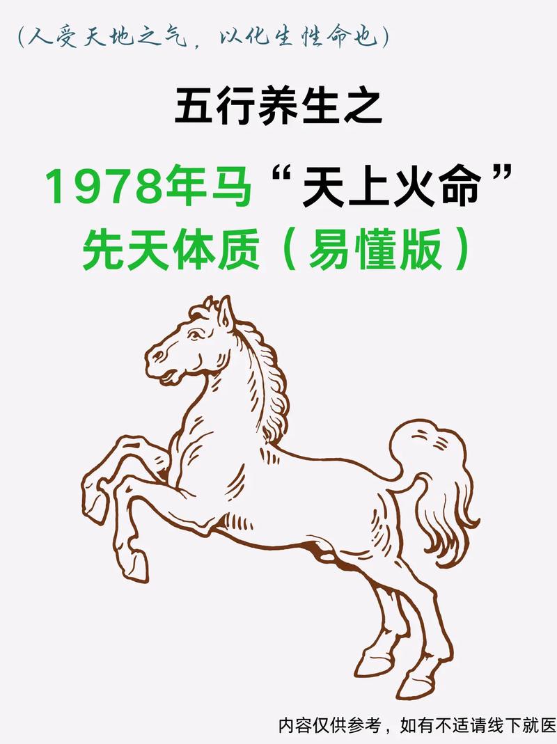 1978年属马天上火命的人命里到底缺什么？
