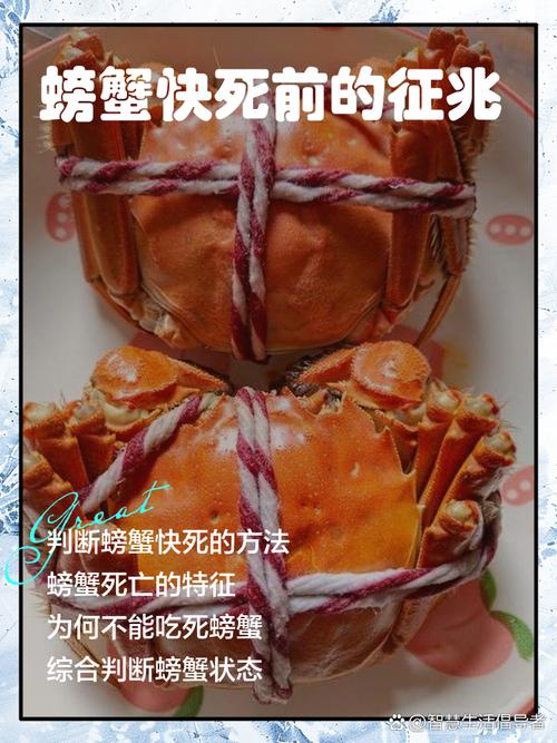 孕妇怀孕期间梦见自己打死螃蟹是什么预兆？