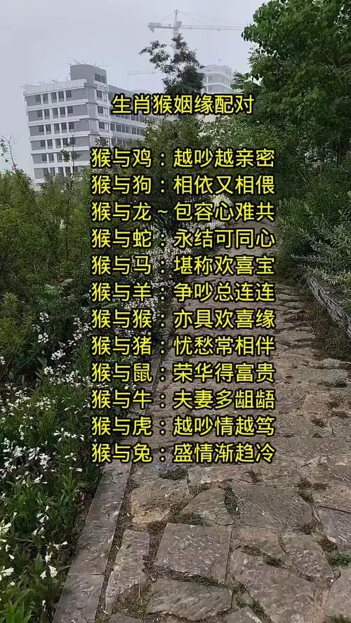 1968年属猴的人婚配哪个生肖最好？