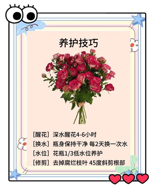 狮子座专属的守护花究竟是什么呢？它会是哪种花蕞适合狮子座呢？