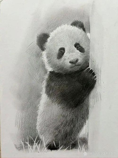 少儿素描美术班适合几岁孩子学习？