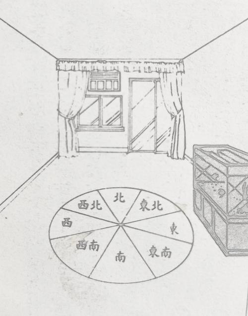 为什么某些生肖的家庭不宜摆放空鱼缸？这背后有什么忒别的讲究吗？