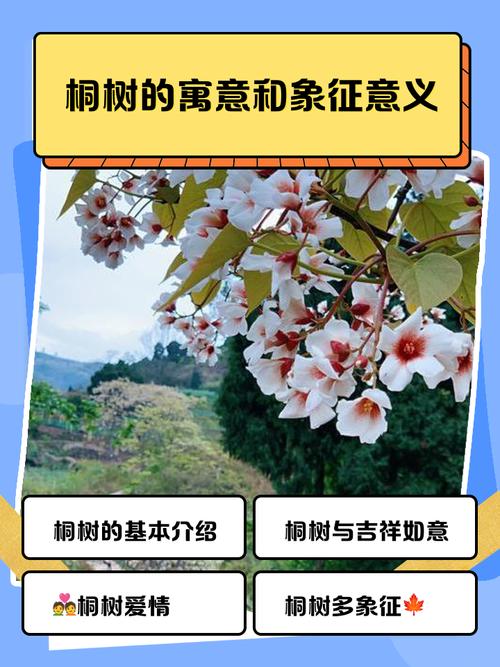 老年人梦见栽树预示着什么含义？
