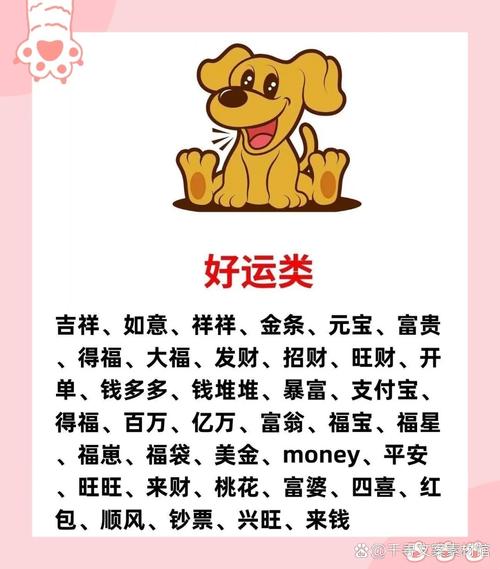 有哪些好听的女孩狗狗名字大全集推荐？