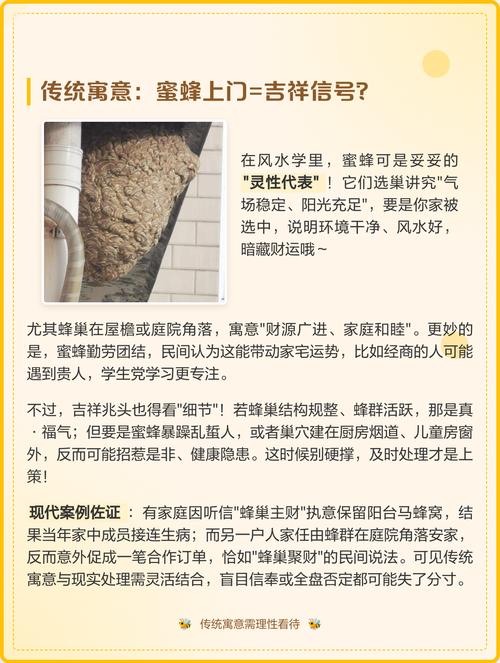 家中发现蜂巢预示着什么吉祥或不幸的征兆？