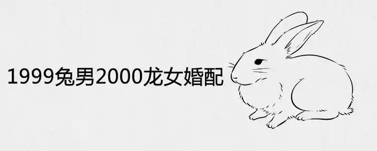 1999年兔与2000年龙相配吗？2000年龙和1999年兔配对合适吗？