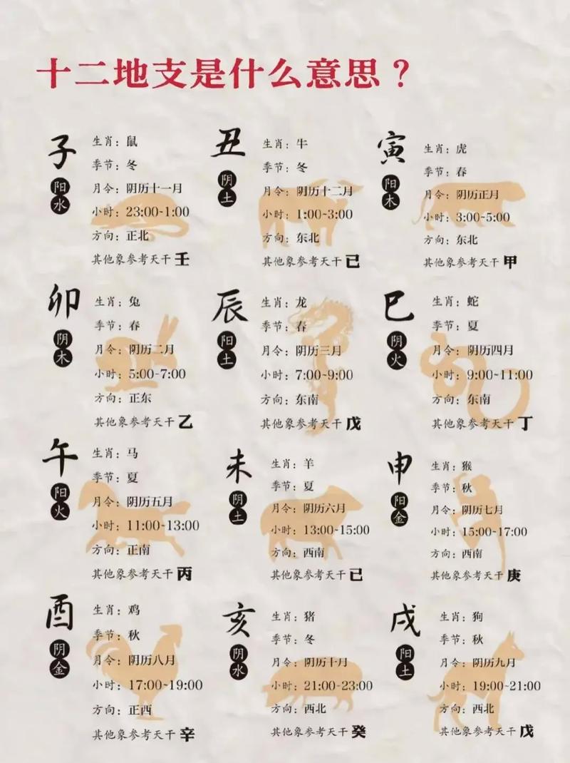 十二地支的五行属性分别是什么？二十地支与五行之间有何关联？