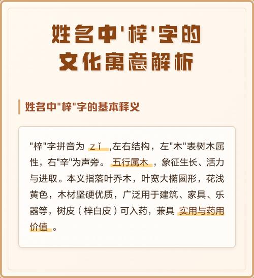梓五行属什么？梓字在名字里有什么特殊含义？
