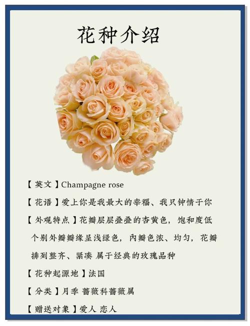 哪种花被广泛认为是爱情的象征？