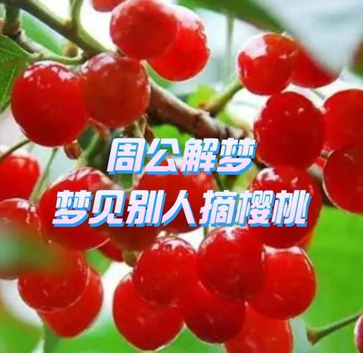 梦见自己摘红色樱桃吃有什么特别的预兆或含义？